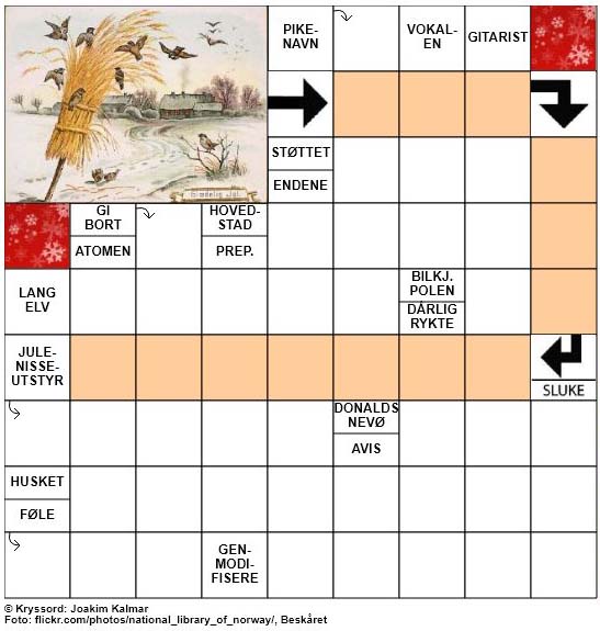 Dagens julekryssord - 19. Desember - 2017