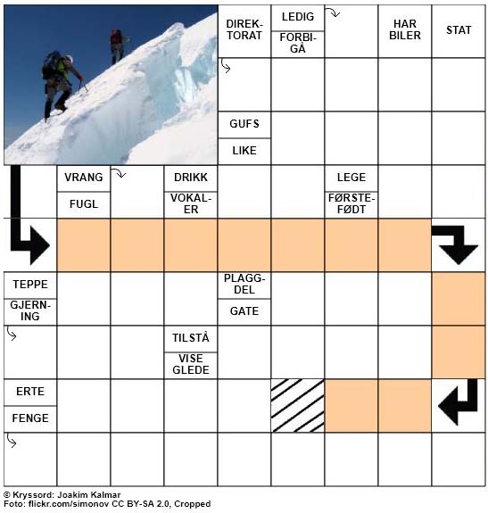 Dagens julekryssord - 2. Desember - 2017