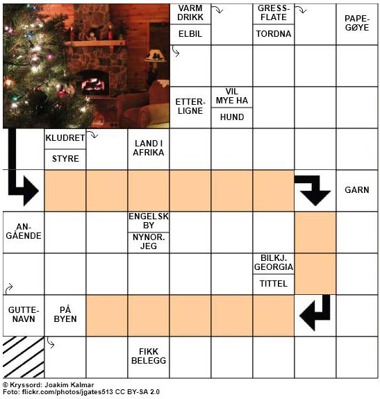 Dagens julekryssord - 27. Desember - 2017