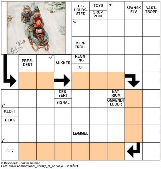 Dagens julekryssord - 30. Desember - 2017