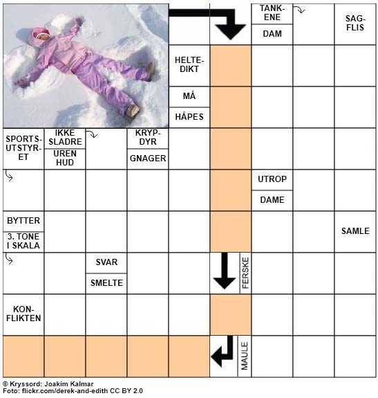 Dagens julekryssord - 5. Desember - 2017