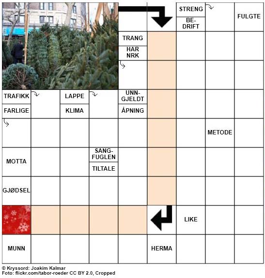Dagens julekryssord - 8. Desember - 2017