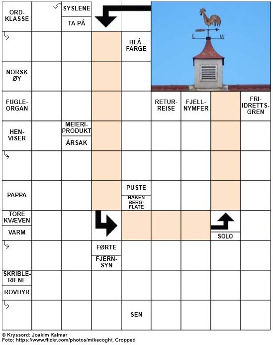 Dagens kryssord – 1. April – 2019