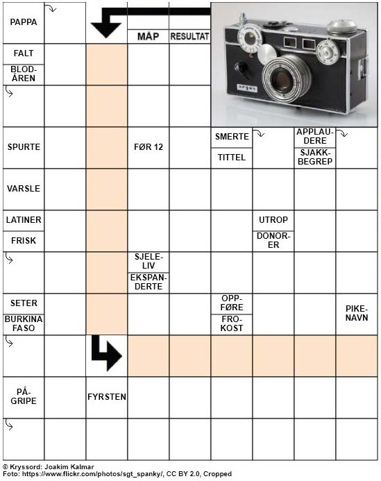 Dagens kryssord – 1. Februar – 2019