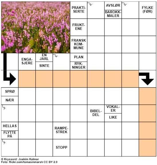 Dagens kryssord - 1. November - 2017
