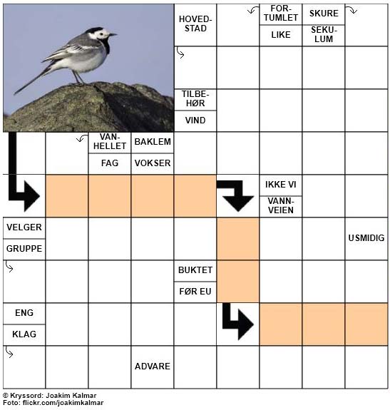 Dagens kryssord - 10. April - 2018