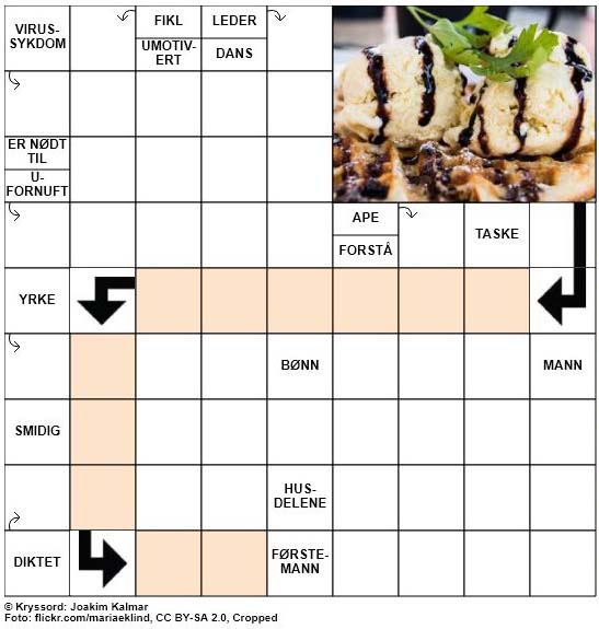 Dagens kryssord - 10. August - 2018