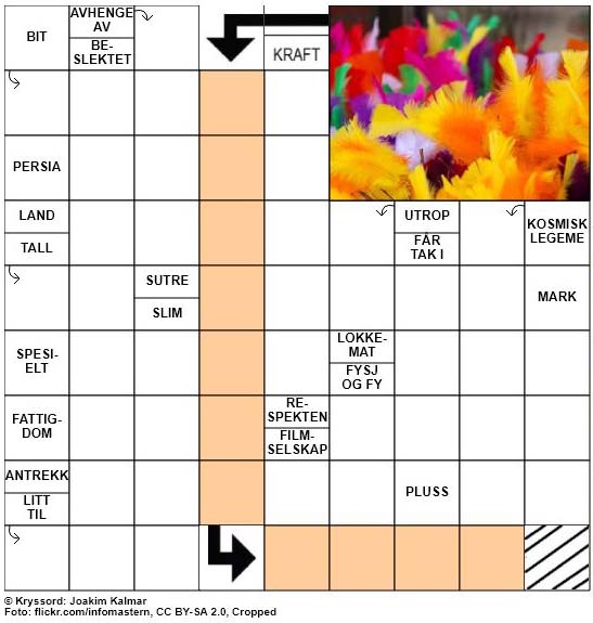 Dagens kryssord - 10. Februar - 2018