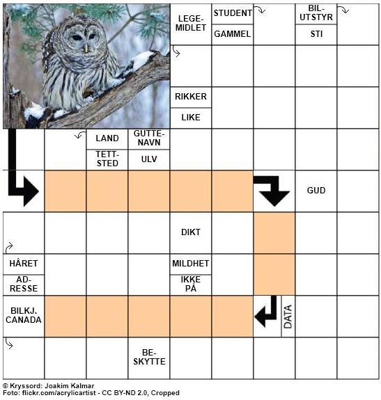 Dagens kryssord - 10. Januar - 2018