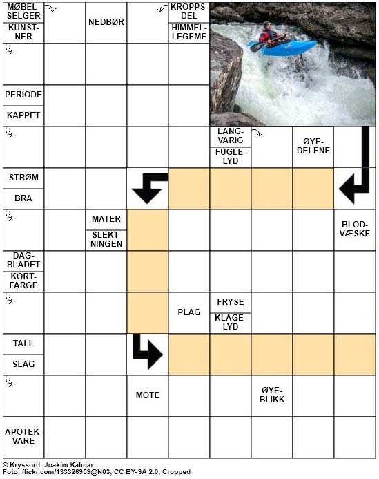 Dagens kryssord – 10. Januar – 2019