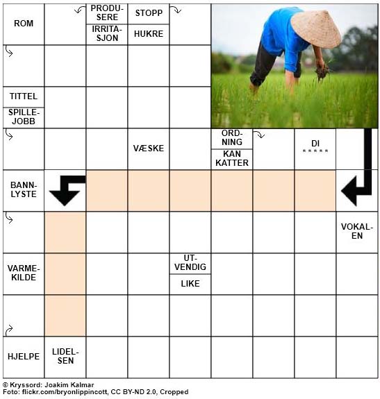 Dagens kryssord – 10. November – 2018