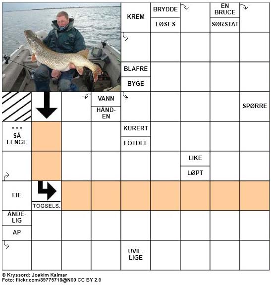 Dagens kryssord - 10. September - 2017