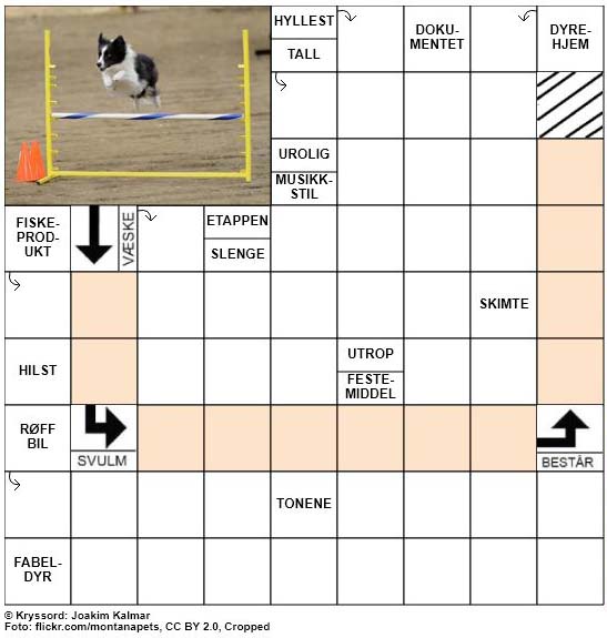 Dagens kryssord - 11. August - 2018