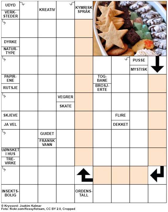 Dagens kryssord – 11. Desember – 2018