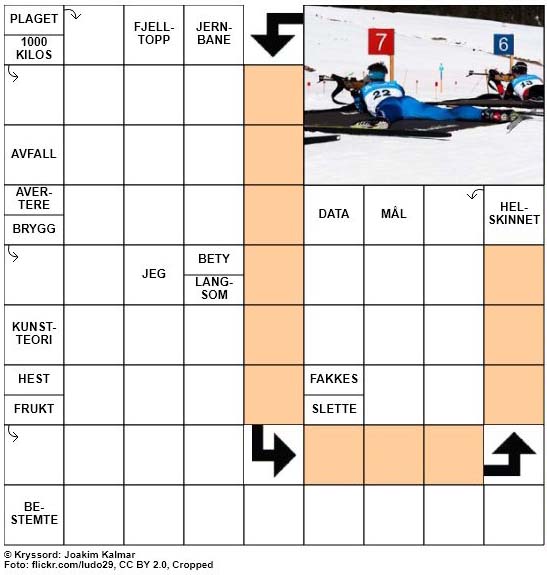 Dagens kryssord - 11. Februar - 2018