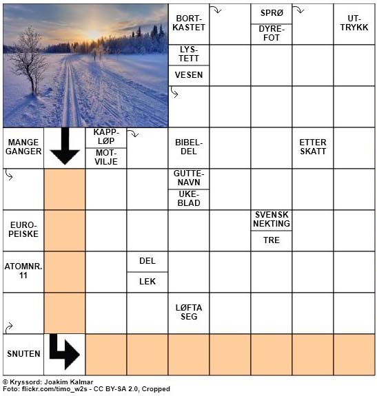 Dagens kryssord - 11. Januar - 2018