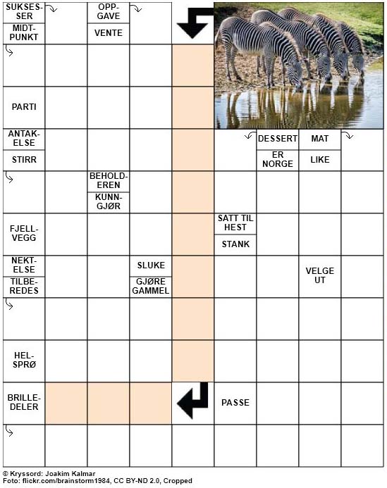 Dagens kryssord – 11. Januar – 2019