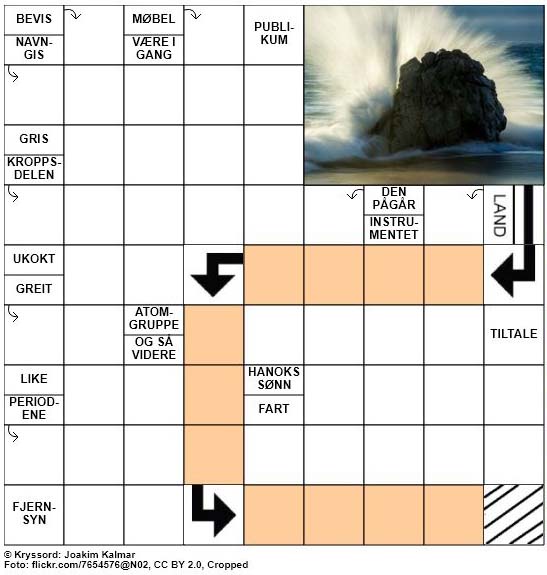 Dagens kryssord - 11. Juni - 2018