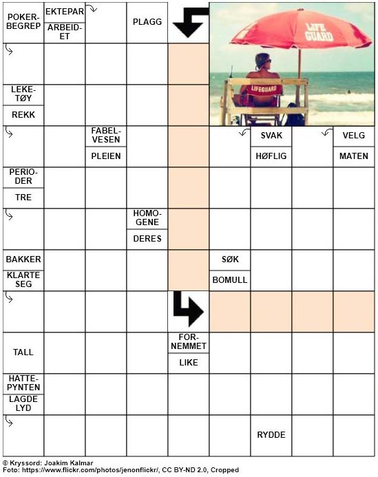 Dagens kryssord – 11. Mai – 2019