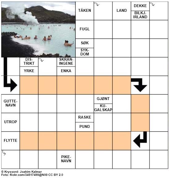 Dagens kryssord - 11. November - 2017