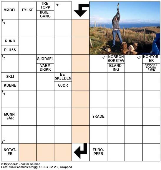 Dagens kryssord – 11. November – 2018
