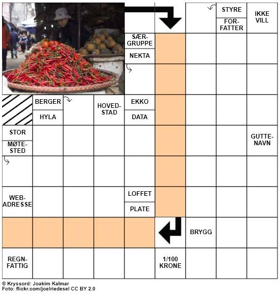 Dagens kryssord - 11. Oktober - 2017