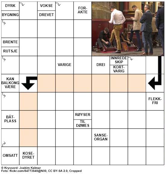 Dagens kryssord – 11. Oktober – 2018