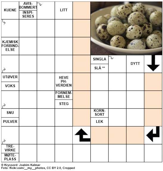 Dagens kryssord - 12. August - 2018