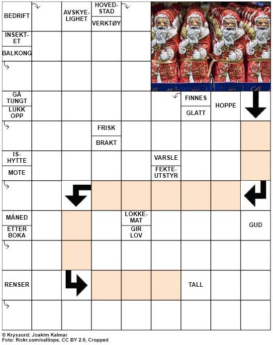 Dagens kryssord – 12. Desember – 2018
