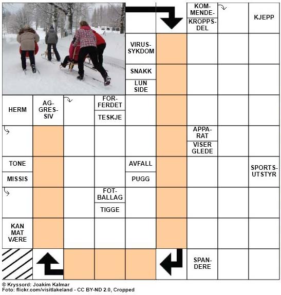 Dagens kryssord - 12. Januar - 2018