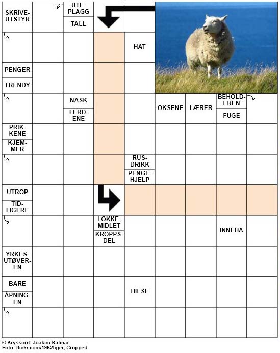 Dagens kryssord – 12. Januar – 2019