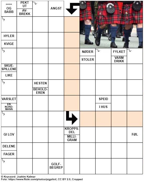 Dagens kryssord – 12. Mai – 2019