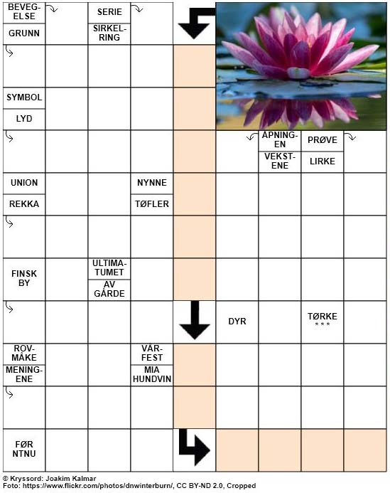 Dagens kryssord – 12. Mars – 2019