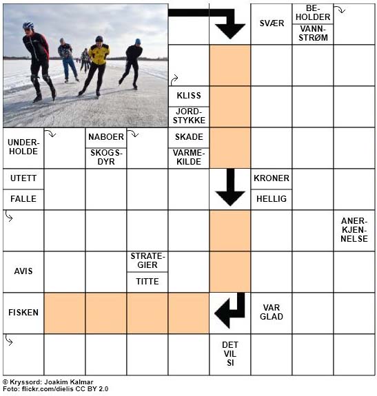 Dagens kryssord - 12. November - 2017