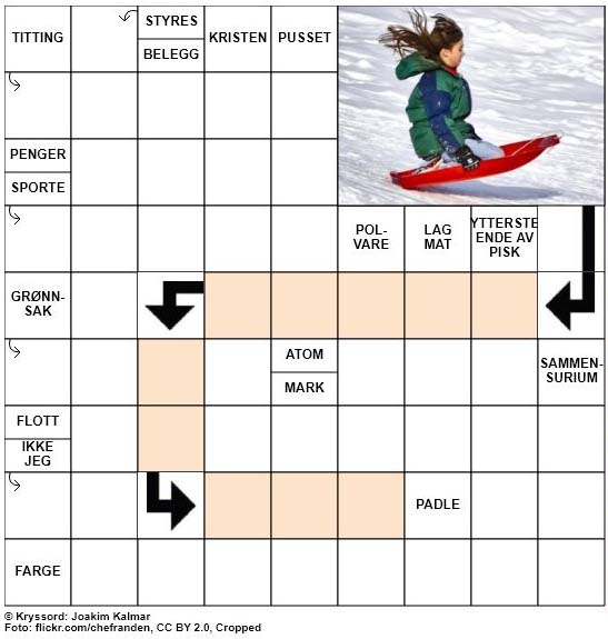 Dagens kryssord – 12. November – 2018