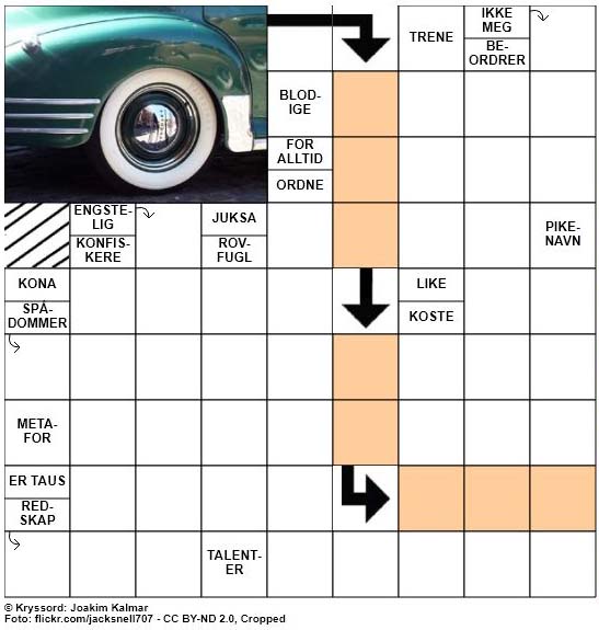 Dagens kryssord - 13. April - 2018