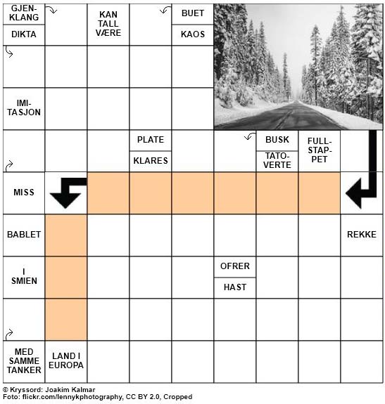 Dagens kryssord - 13. Februar - 2018