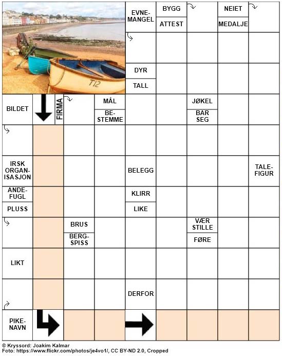 Dagens kryssord – 13. Februar – 2019