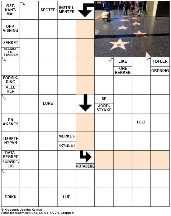 Dagens kryssord – 13. Januar – 2019