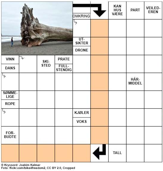 Dagens kryssord - 13. Juli - 2018
