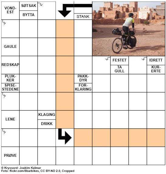 Dagens kryssord - 13. Juni - 2018