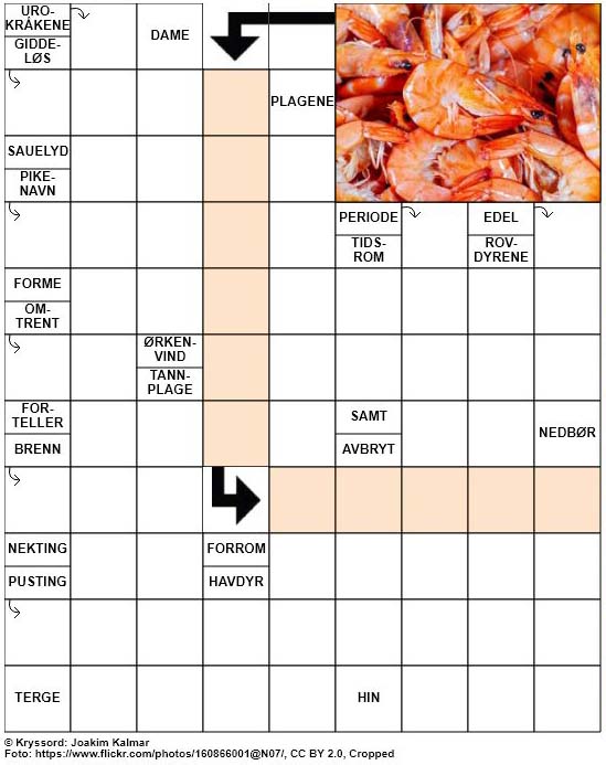 Dagens kryssord – 13. Mai – 2019