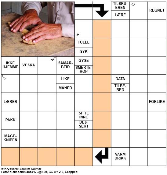 Dagens kryssord - 13. Mars - 2018