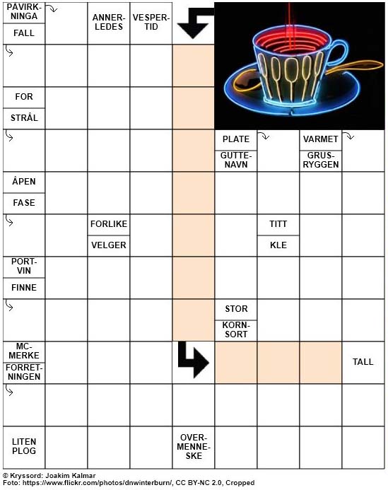 Dagens kryssord – 13. Mars – 2019