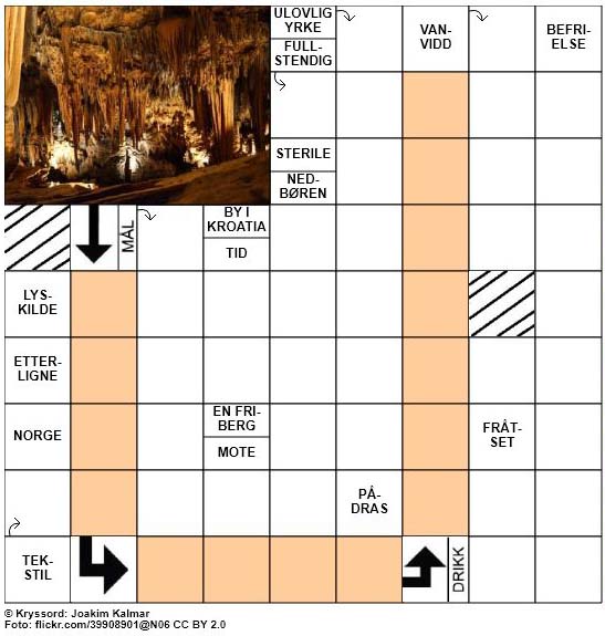 Dagens kryssord - 13. November - 2017
