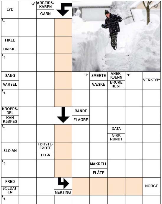 Dagens kryssord – 13. November – 2018