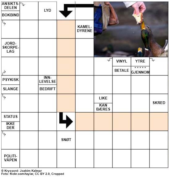 Dagens kryssord – 13. Oktober – 2018
