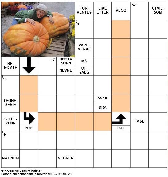 Dagens kryssord - 13. September - 2017