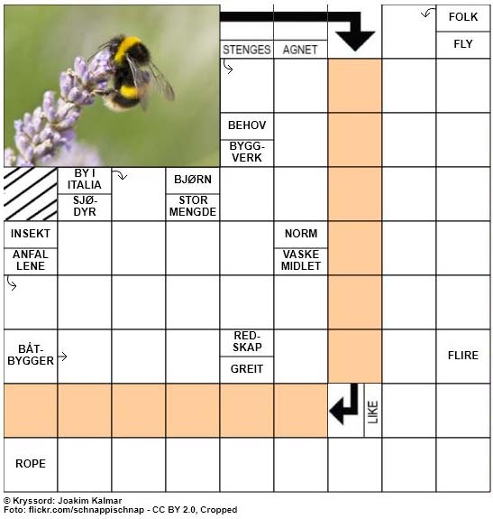 Dagens kryssord - 14. April - 2018