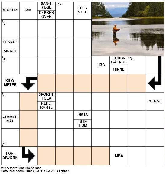 Dagens kryssord - 14. August - 2018